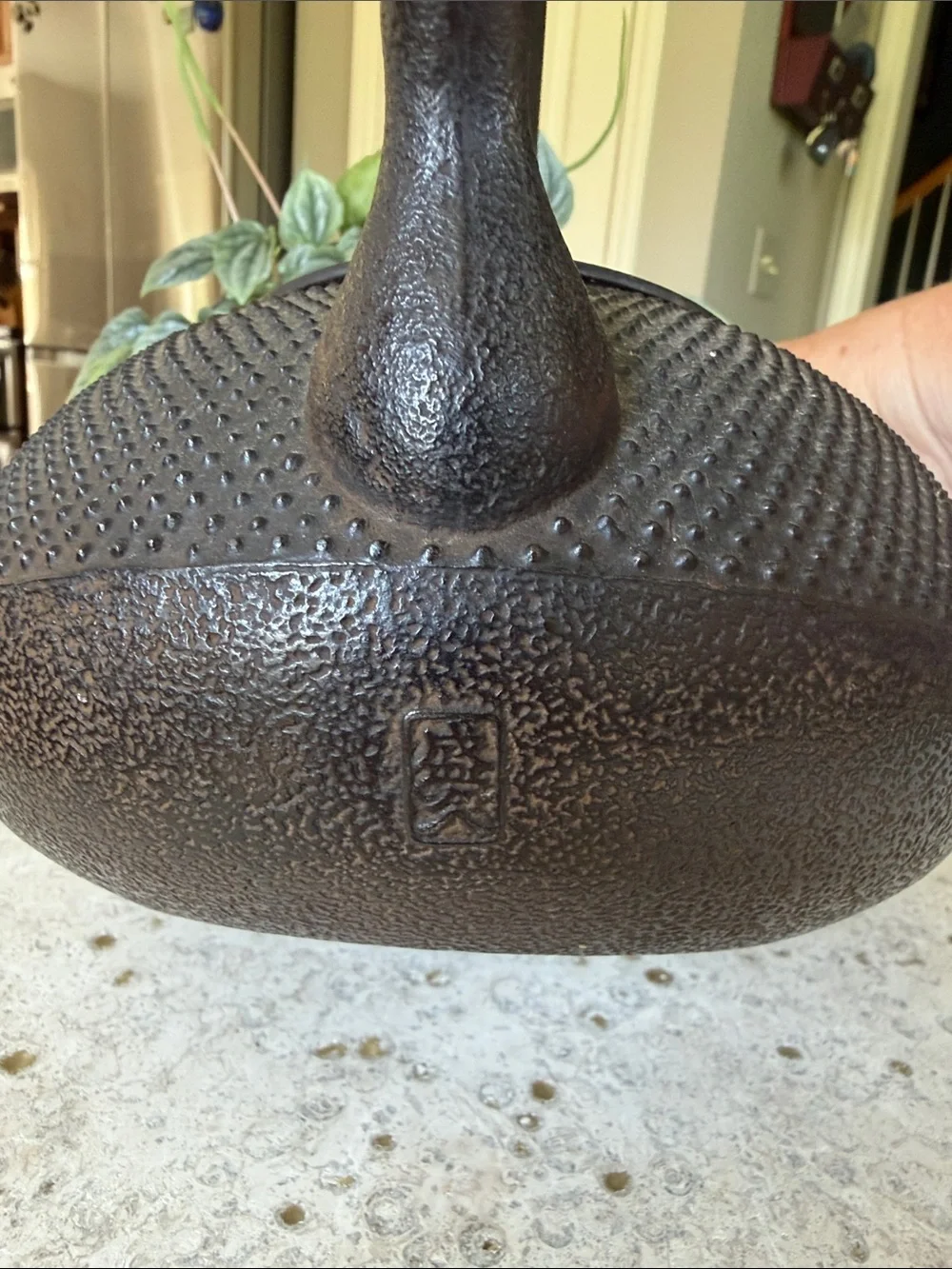 Cast Iron Teapot Kettle - Black
